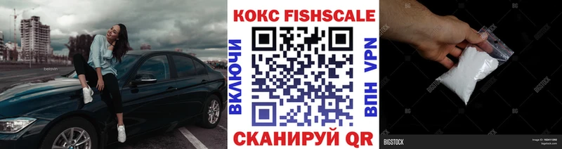 Купить закладки  Славгород  Cocaine 97% 