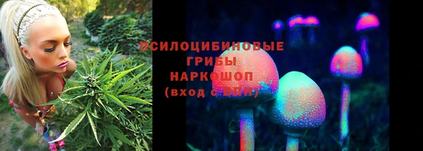 хмурый Сатка