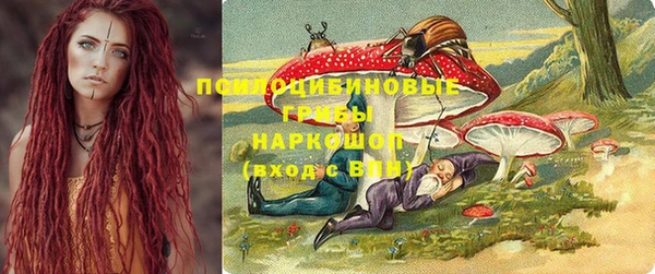 хмурый Сатка