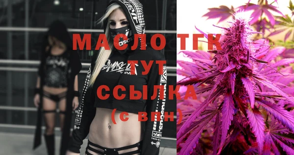 хмурый Сатка
